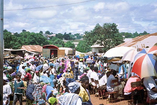 Guinea Conakry