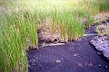 �g���j�_�[�h�E�g�o�R