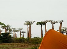 マダガスカルの宿