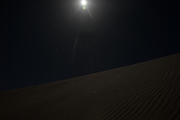 月と砂漠とシンゲッティ