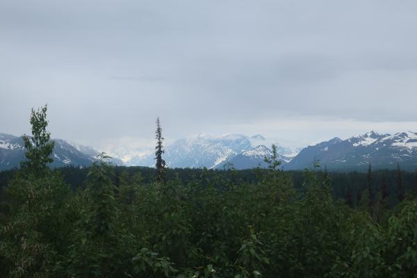 25/06/22 05:40:40