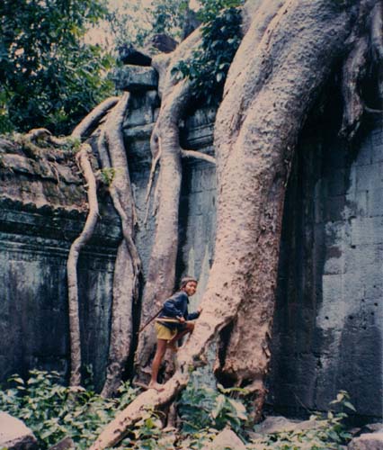 h930613ankor_taprohm