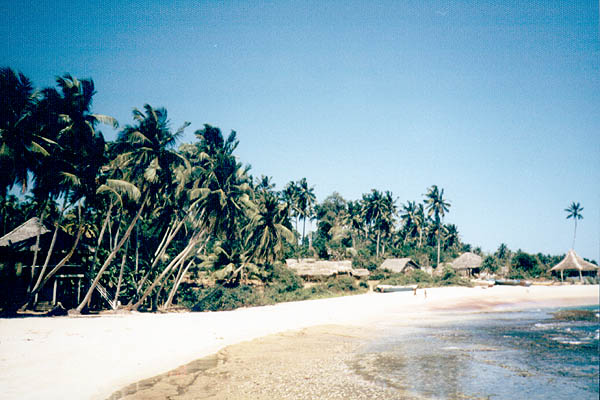 02181beach.jpg